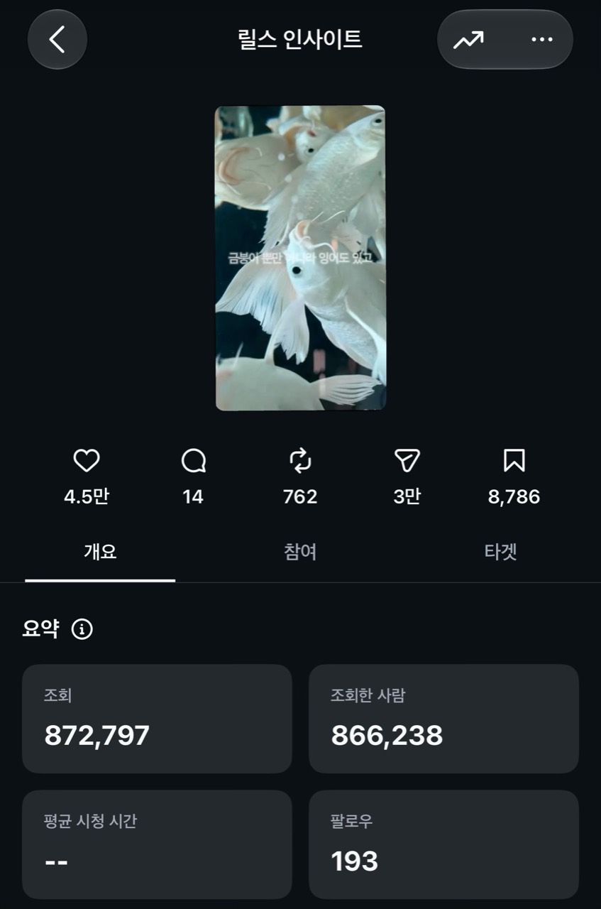 카페 홍보영상 실제 릴스 인사이트