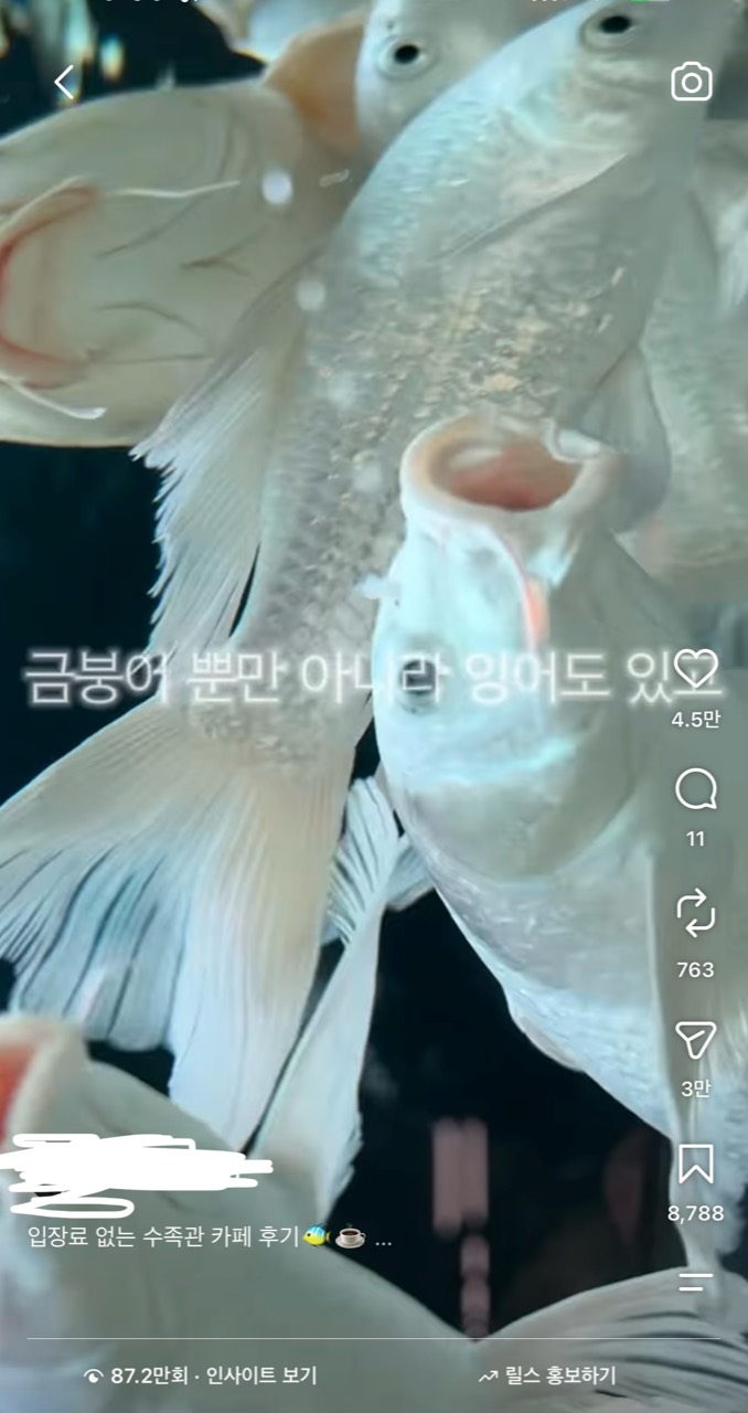 카페 홍보영상 썸네일